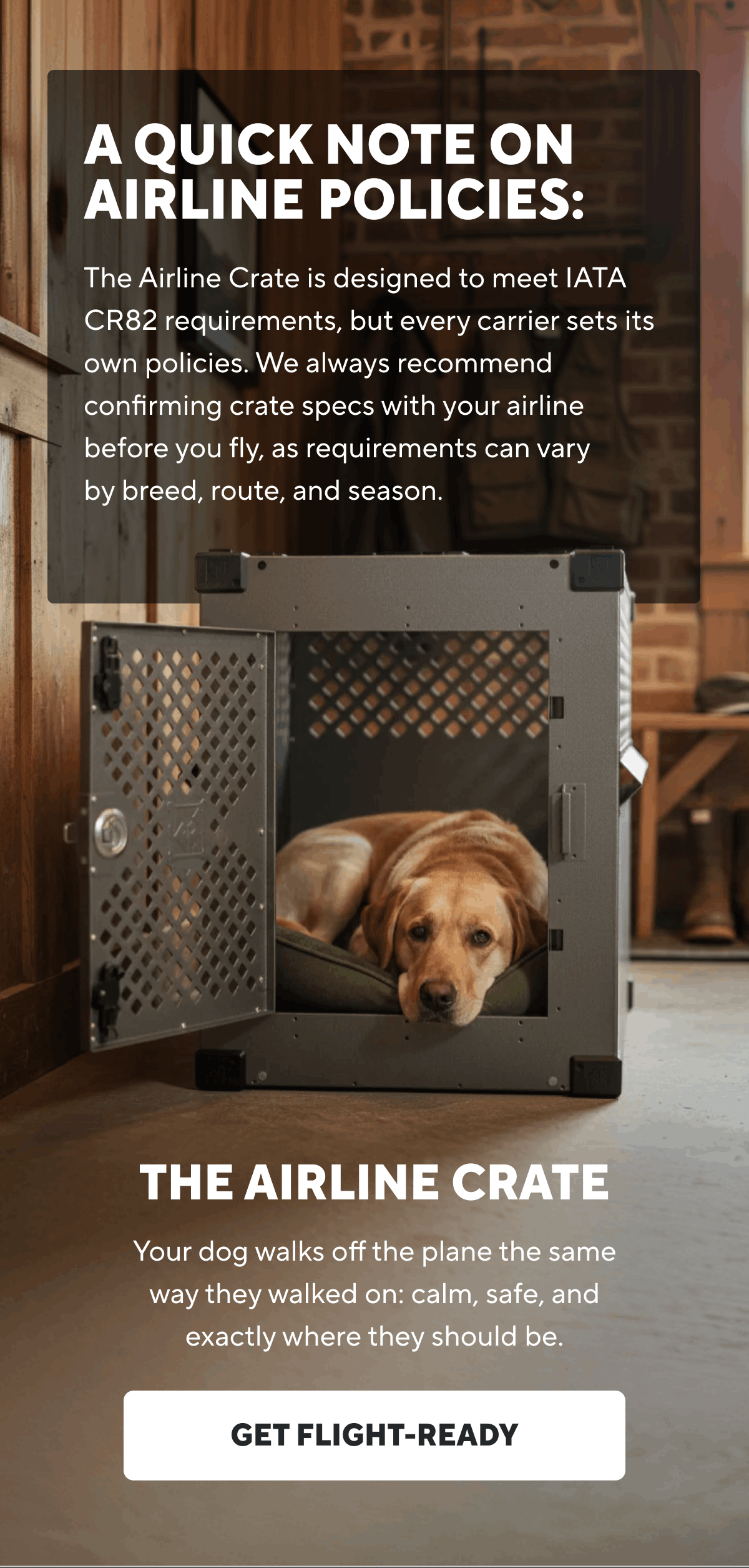A Quick Note on Airline Policies | Get Flight-Ready