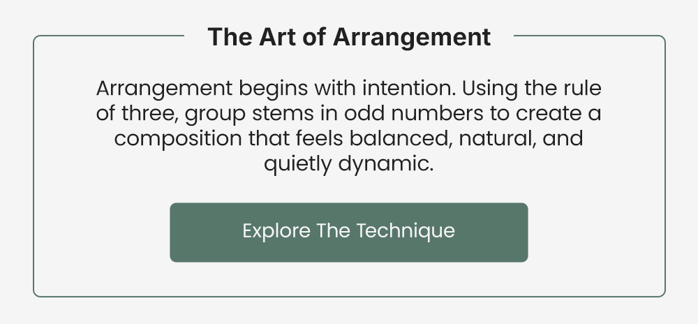 The Art of Arrangement