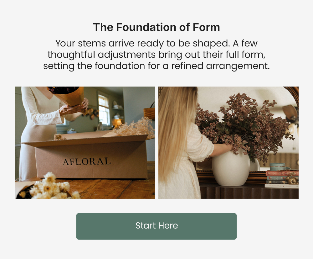 The Foundation of Form