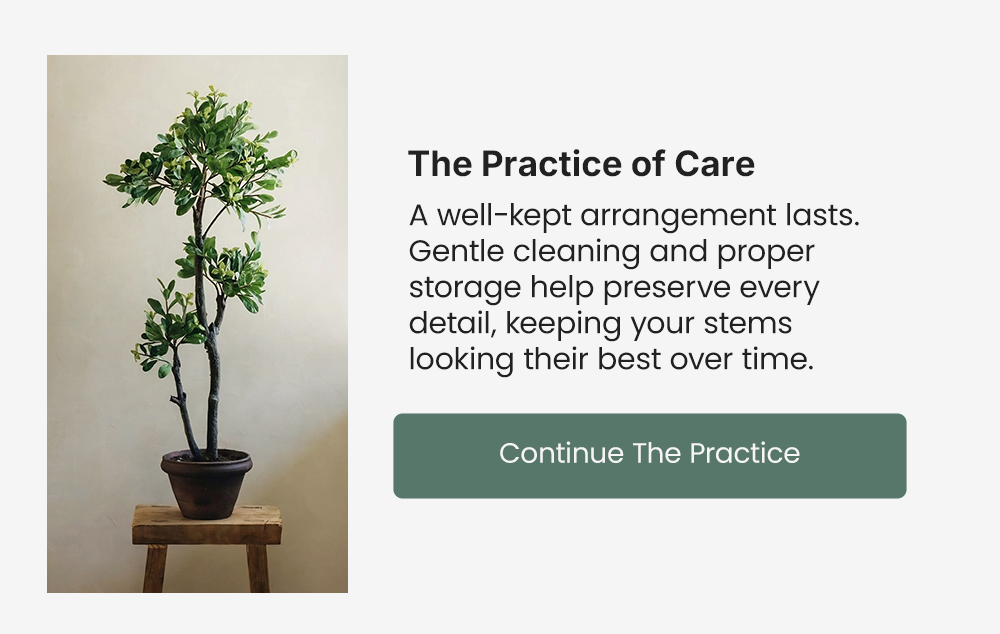 The Practice of Care