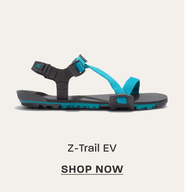 Z-Trail EV