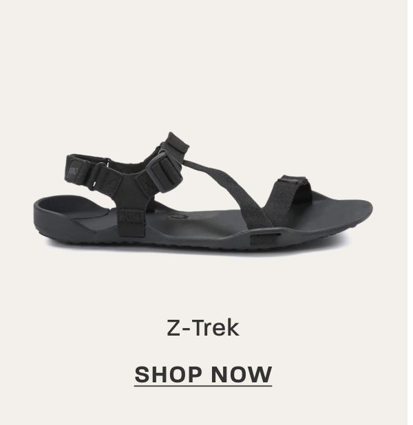 Z-Trek