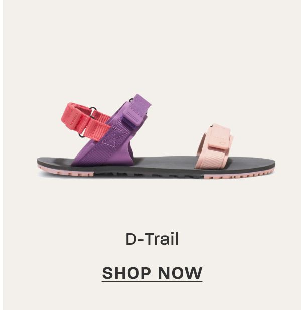 D-Trail