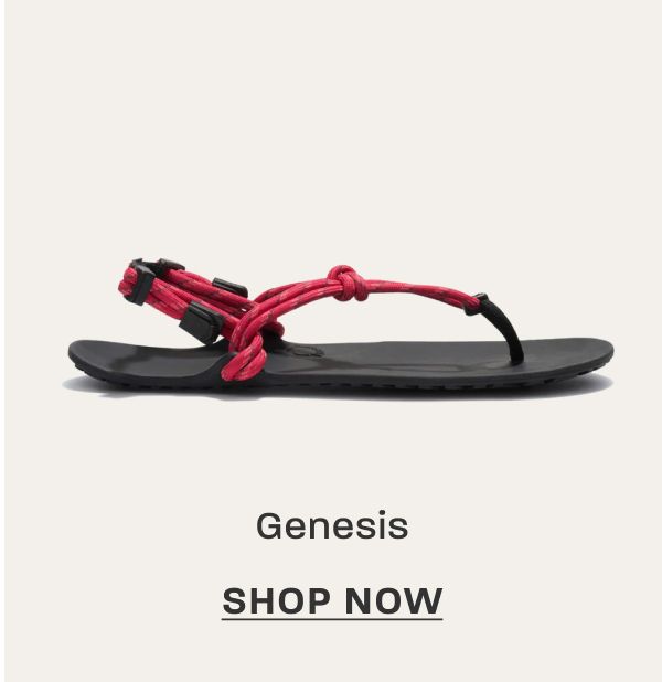 Genesis