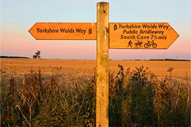 National Walking Month