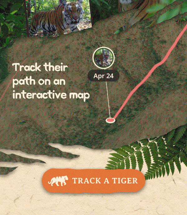Track their path on an interactive map. Download the Fahlo mobile app!