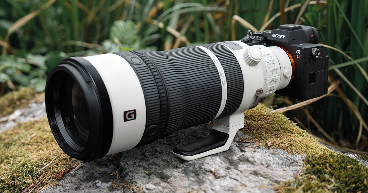 Sony FE 100-400mm GM Lifestyle