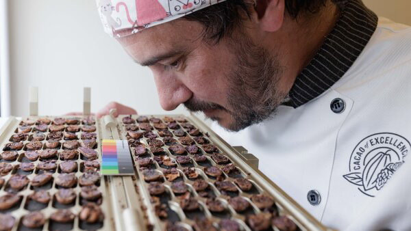 Julien Simonis, program manager for Cacao of Excellence, hovers over halved cocoa beans to smell and inspect them. 