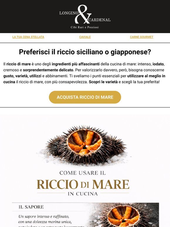 🌊 Conosci il Riccio di Mare? | Scopri le Diverse Varietà
