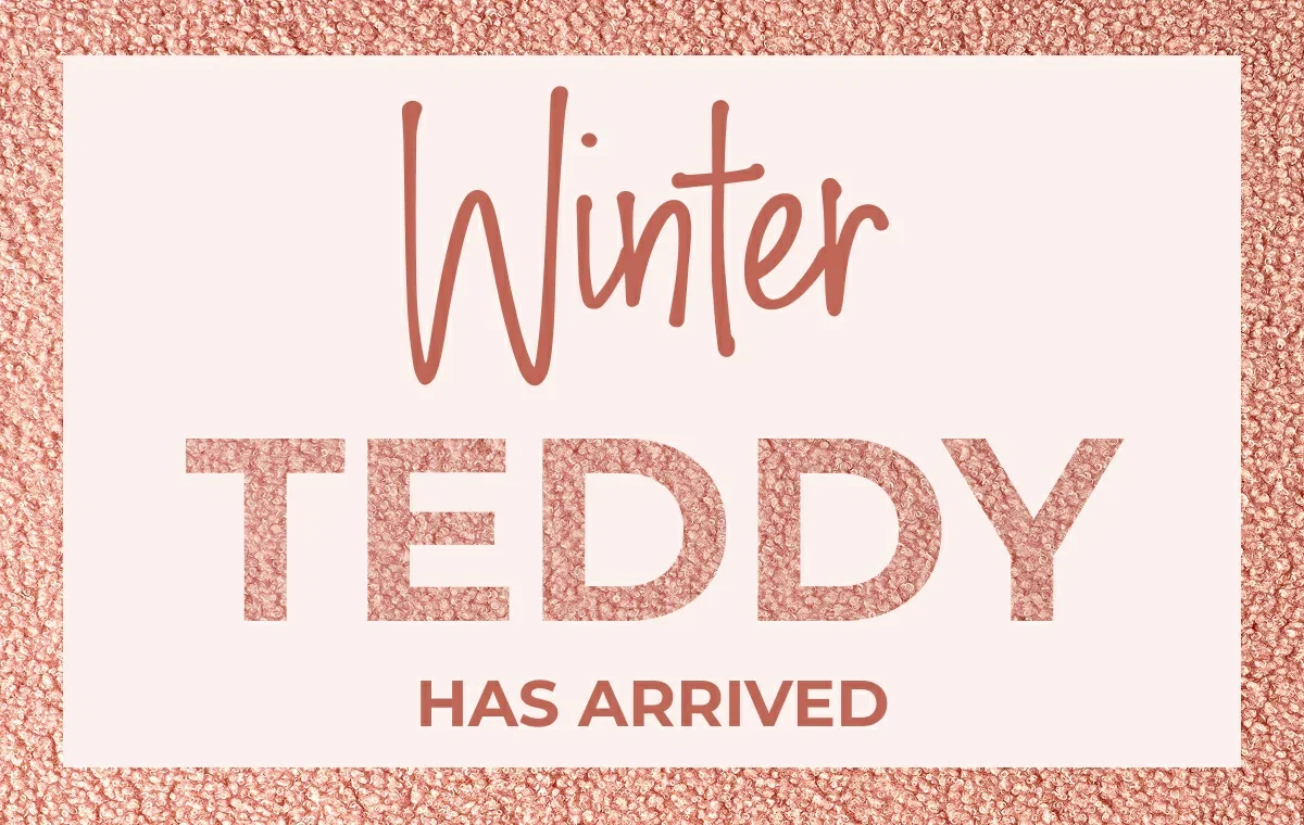 Winter Teddy