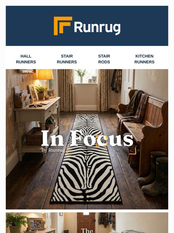 Zebra: In Focus