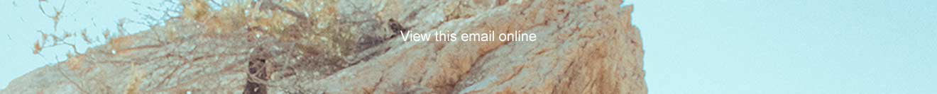 View this email online