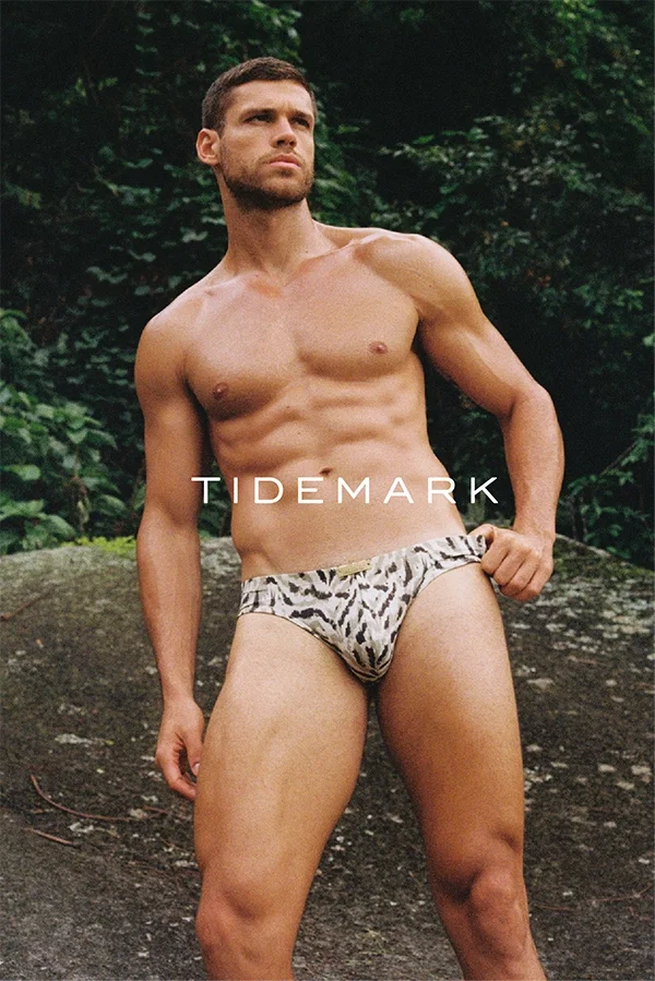 Tidemark