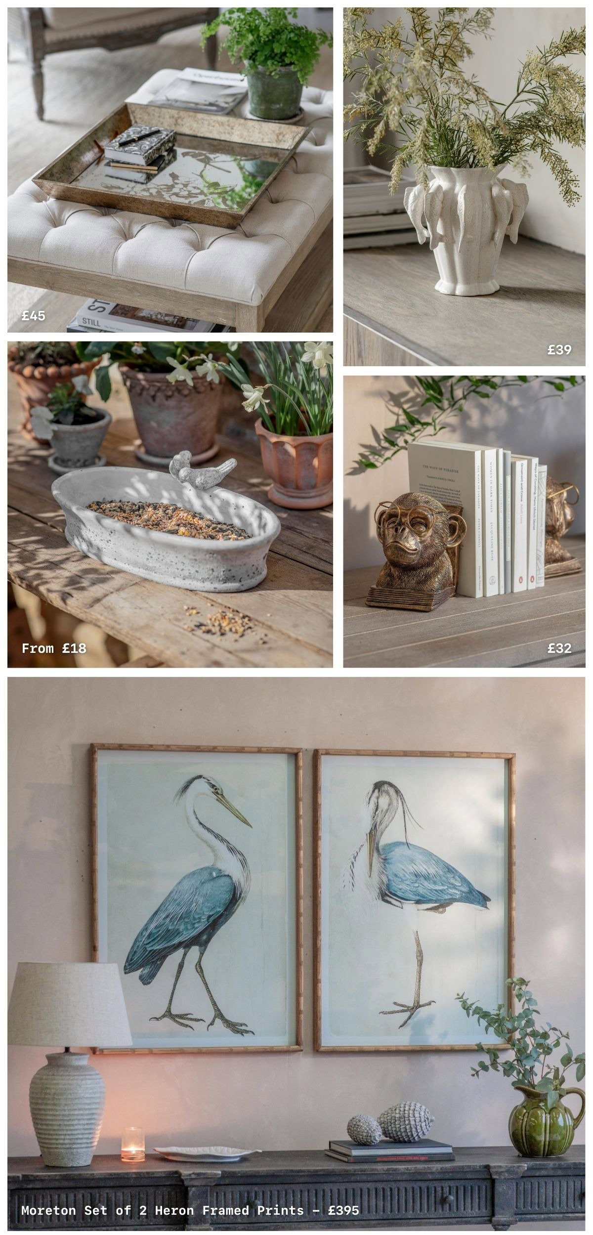 Shop Wild at Home Collection