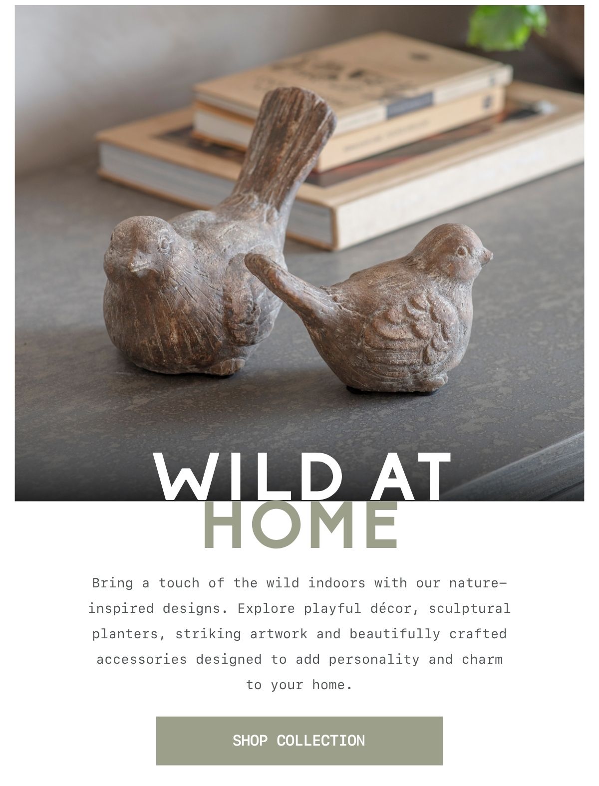 Wild At Home