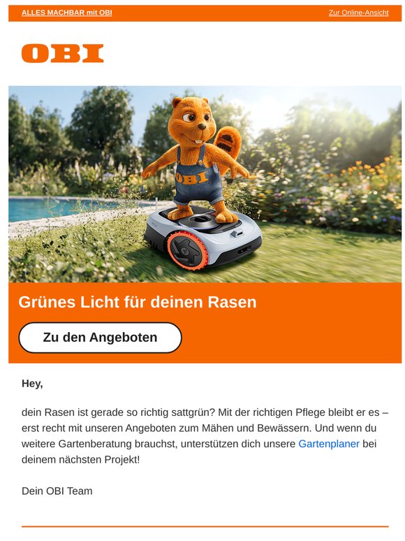 Alles auf Grün: Angebote für deinen Rasen 💚