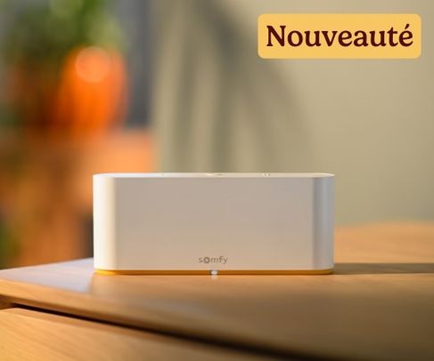 Box domotique TaHoma®