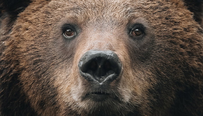 Sony FE 100-400mm GM - Feature 1