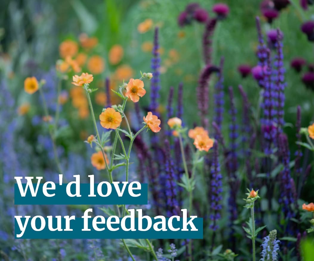 we'd love your feedback