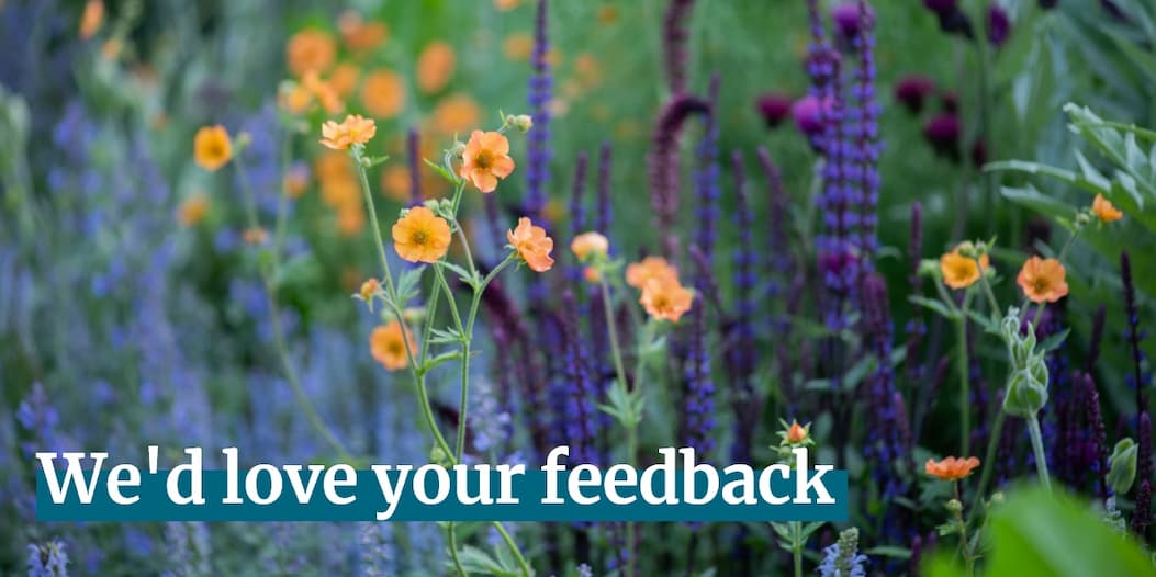 we;'d love your feedback