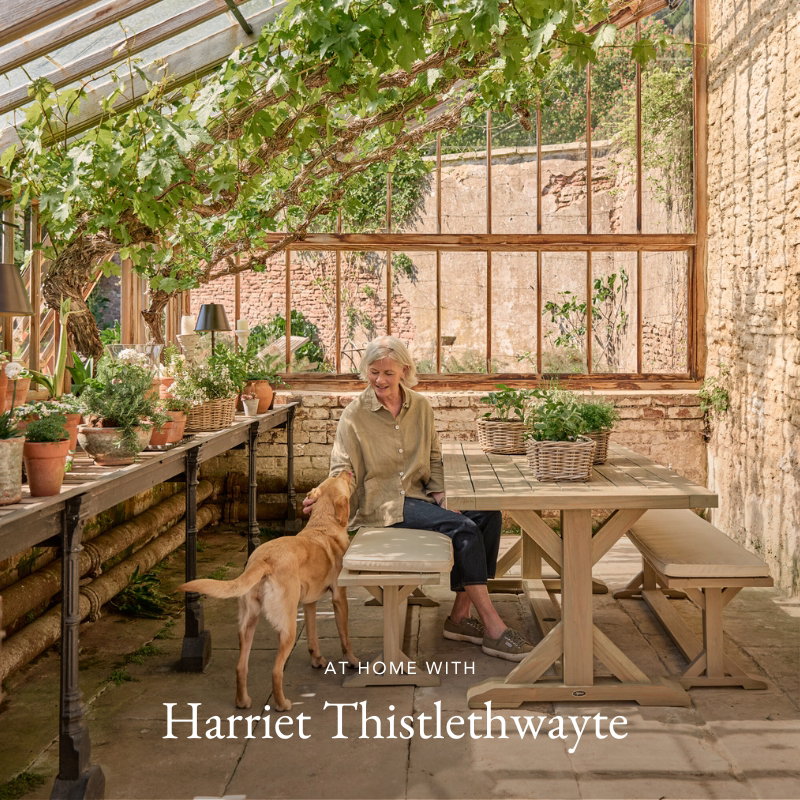 At home with Harriet Thistlethwayte