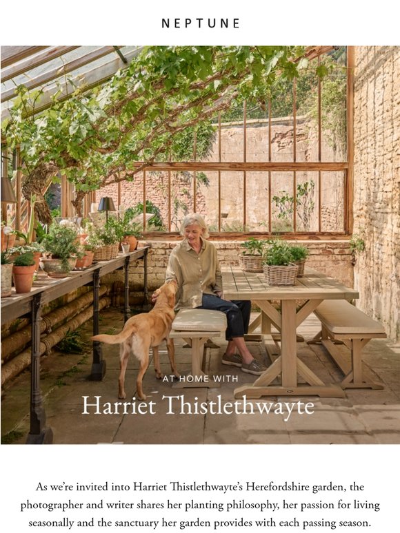 At home with Harriet Thistlethwayte