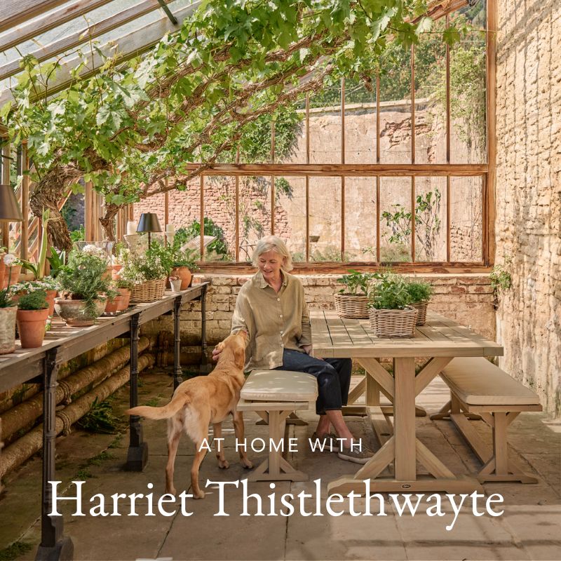 At home with Harriet Thistlethwayte