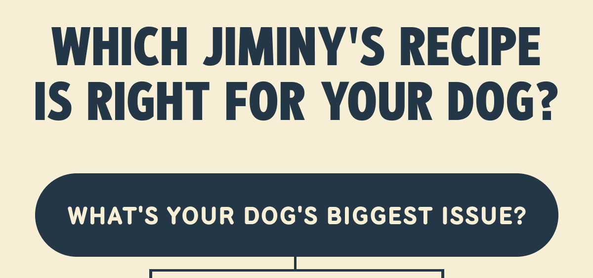 WHICH JIMINY'S RECIPE IS RIGHT FOR YOUR DOG?  WHAT'S YOUR DOG'S BIGGEST ISSUE?