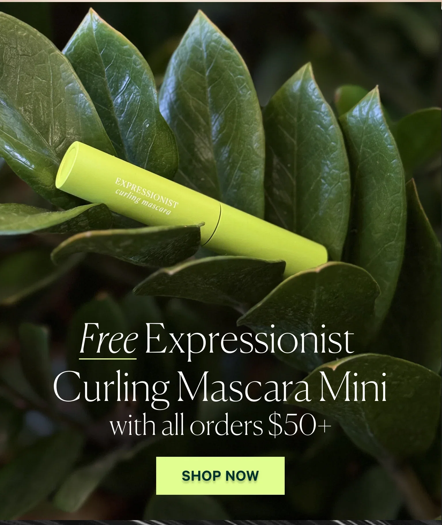 Free Expressionist Curling Mascara Mini with all orders $50+ SHOP NOW