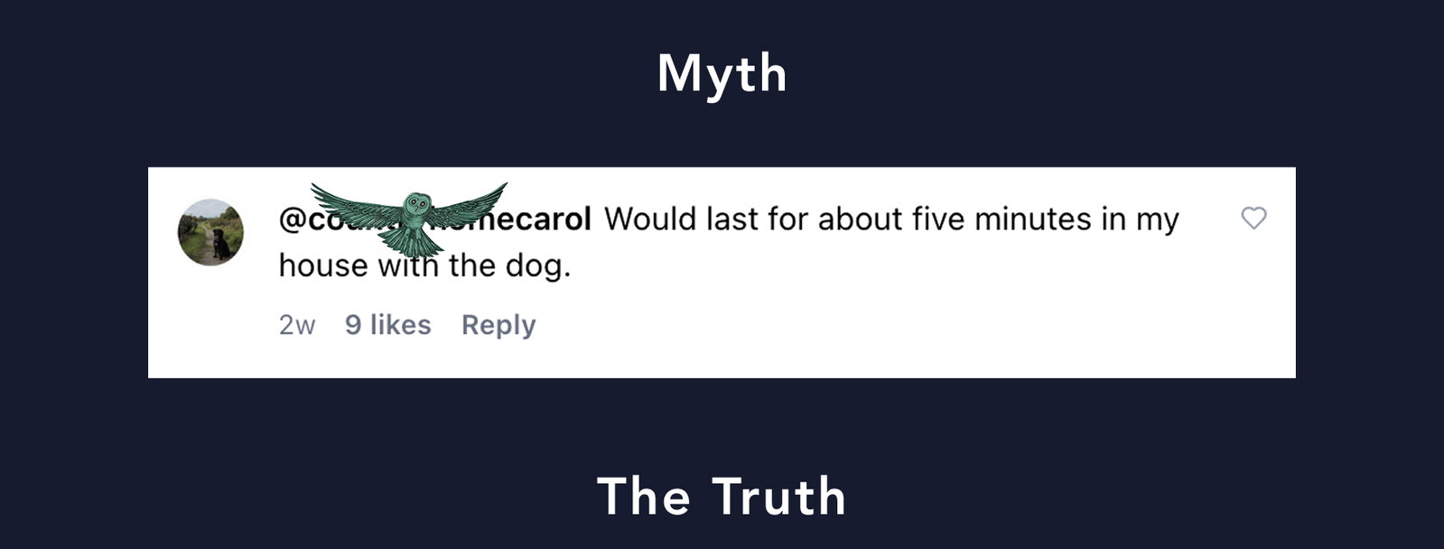 Would last for about five minutes in my house with the dog.