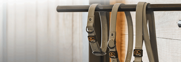Collars and Leads