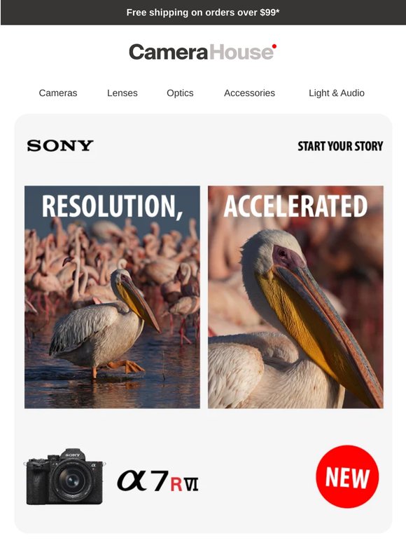 💥 NEW 💥 Sony A7R VI & FE 100-400mm | Redefining Speed & Detail