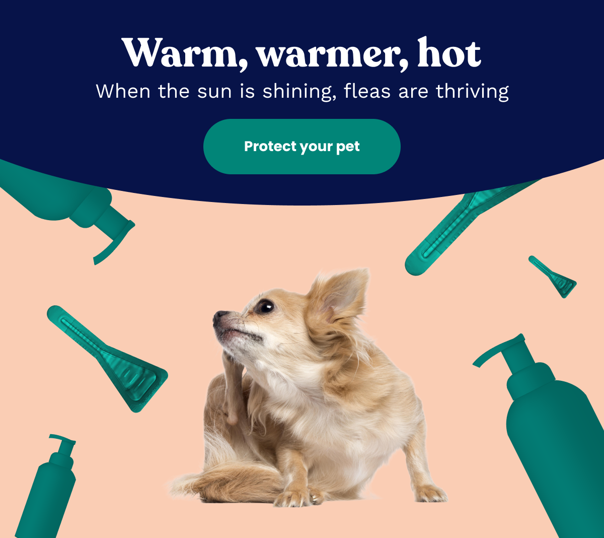 Warm, warmer, hot. When the sun is shining, fleas are thriving