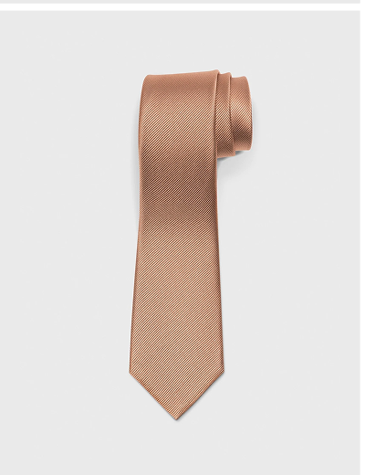 Terracotta Silk Necktie Rent $15 Buy $30