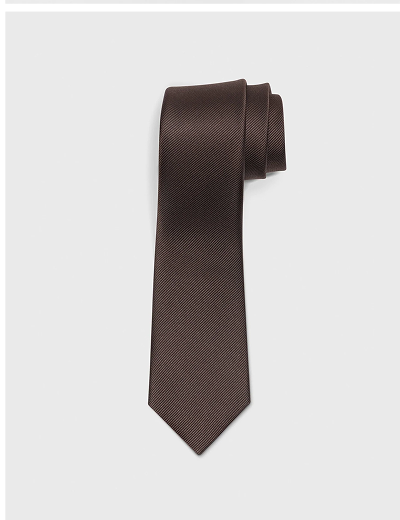Chocolate Silk Necktie Rent $15 Buy $30