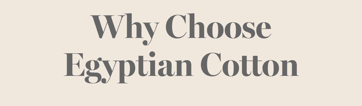 Why Choose Egyptian Cotton