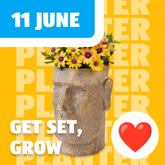 Specialbuys Outdoor Planter image