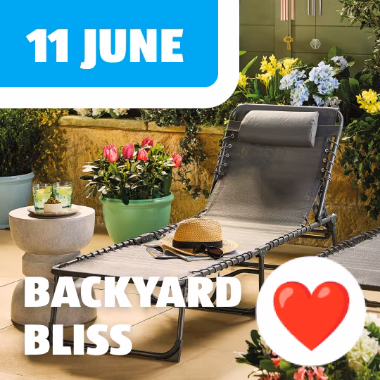 Specialbuys outdoor lounger image