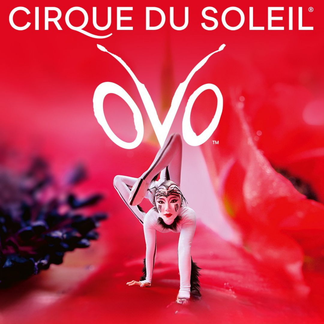 Cirque du soleil - OVO