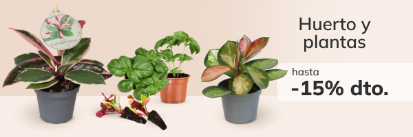 Productos