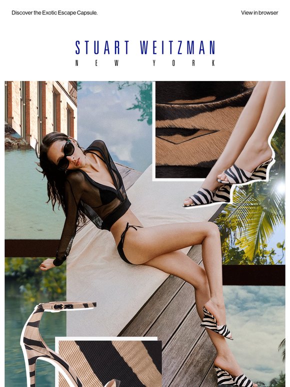 Into the Wild: New Zebra-Print Shoes Just In