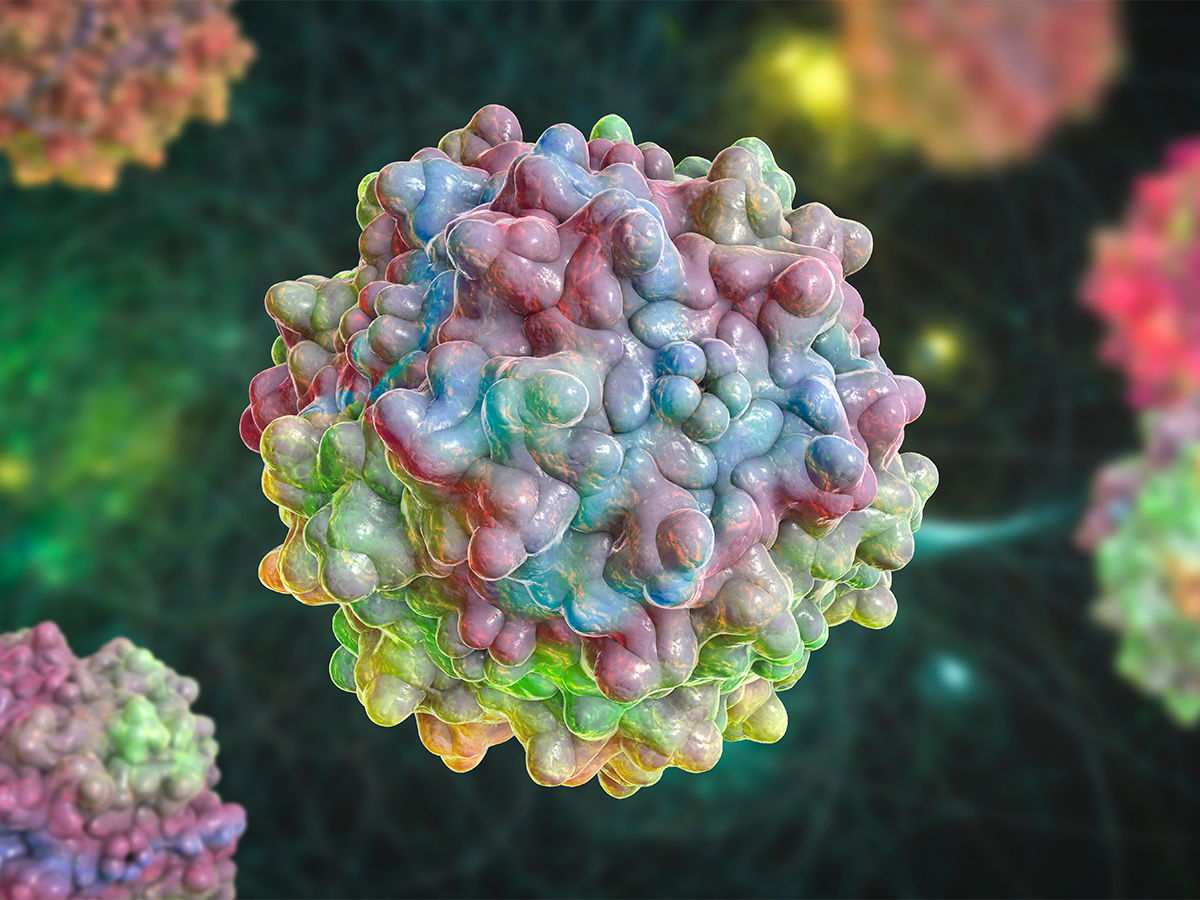 3D illustration of adeno-associated viruses