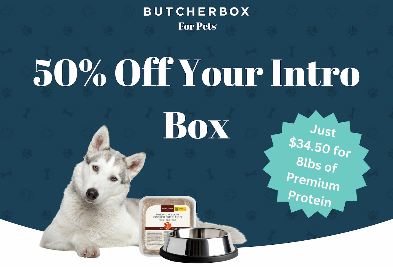 Your dog deserves to eat like family