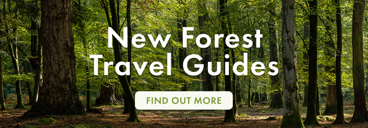 New Forest travel guides.
