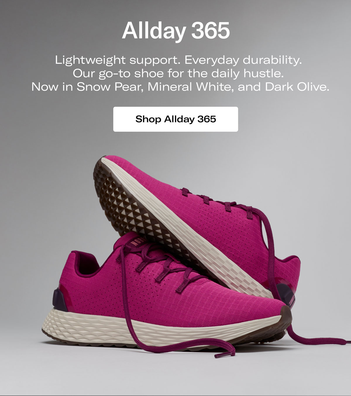 Allday 365