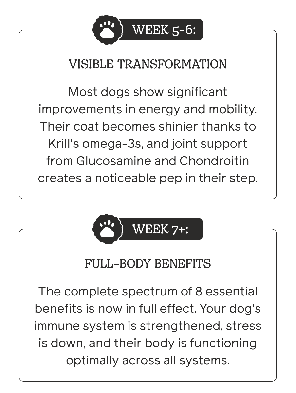 Week 5-6