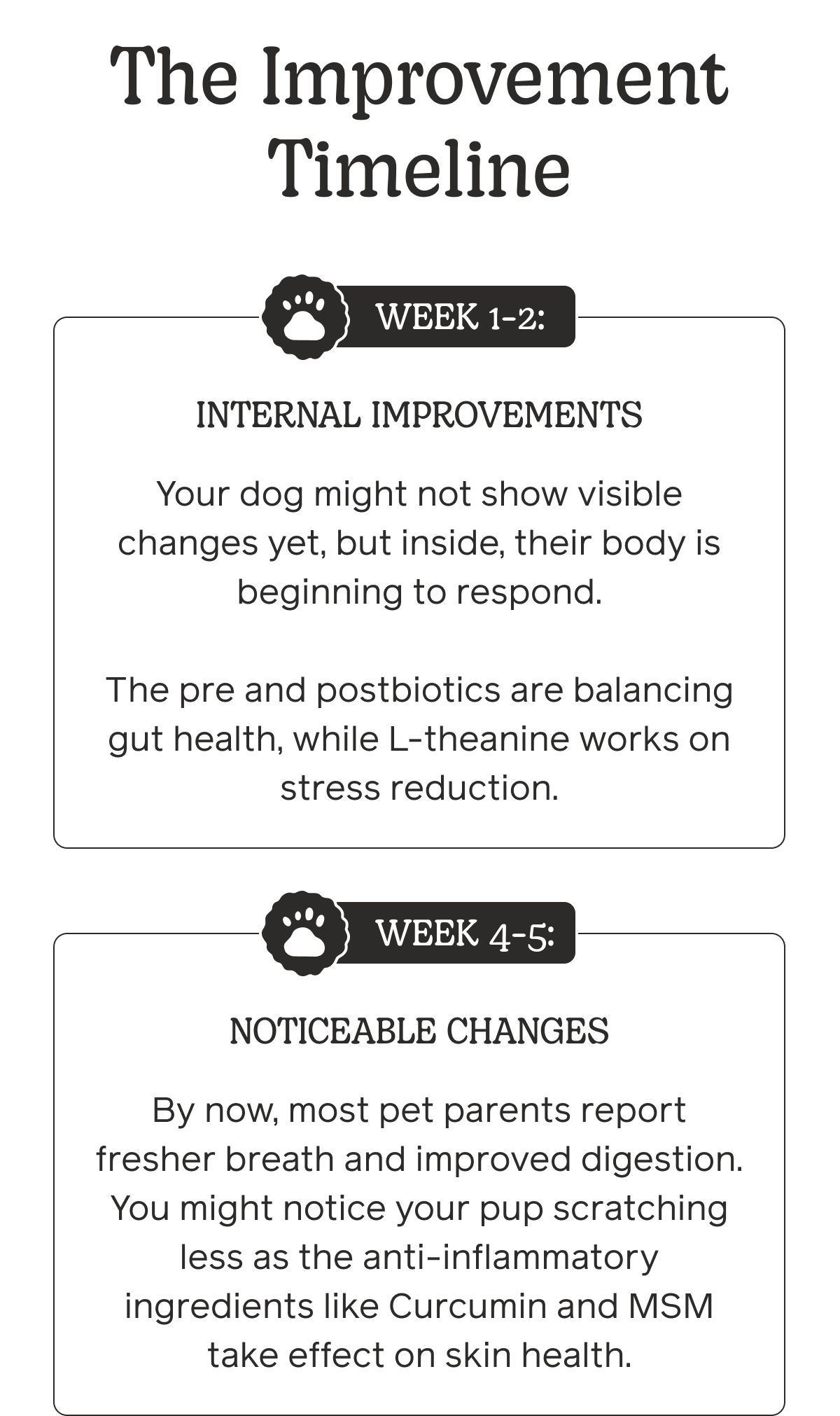 The Improvement Timeline