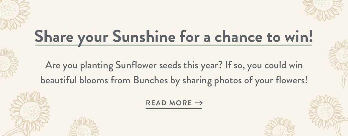 Spreading happiness with sunflower seeds