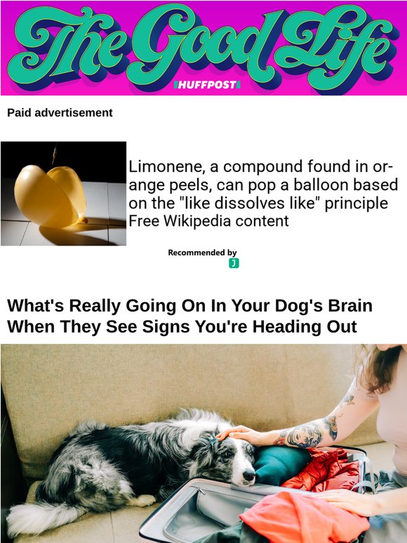 What's really going on in your dog's brain when they see signs you're heading out