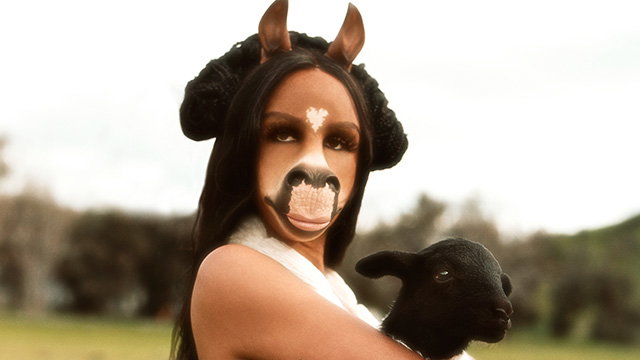 horsegiirL